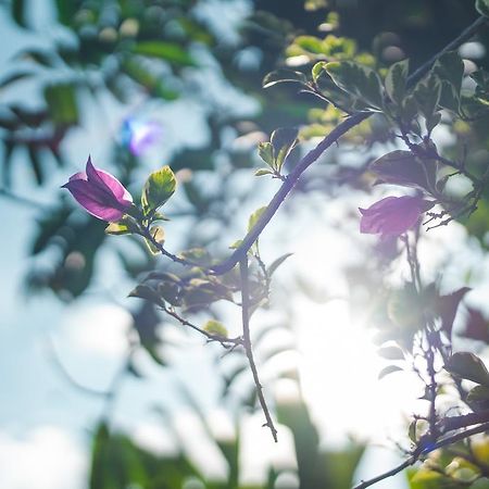 Villa Daksina Ubud Pokój zdjęcie